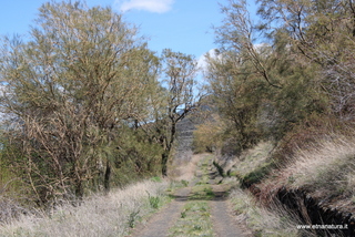 Monte Lepre